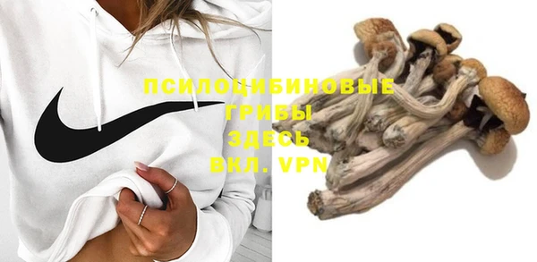 mdma Заводоуковск