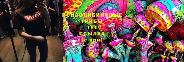 mdma Заводоуковск