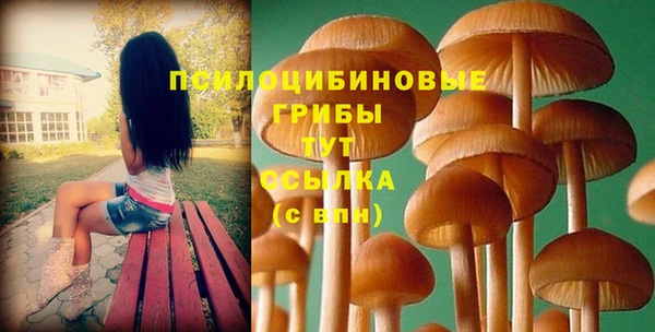 mdma Заводоуковск