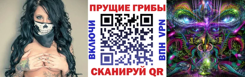 Купить где  Зубцов  Псилоцибиновые грибы ЛСД 