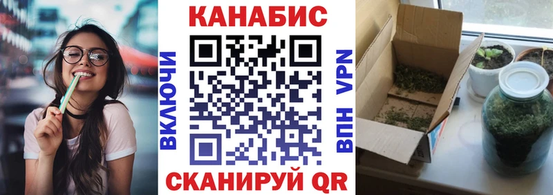 Канабис SATIVA & INDICA  Купить закладки  Зубцов 